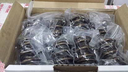 VALVE SPRING SET